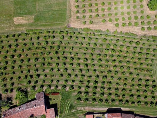 Terreno in vendita a Papò, Piemonte