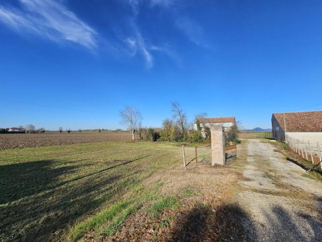Terreno in vendita a Vescovana, Veneto