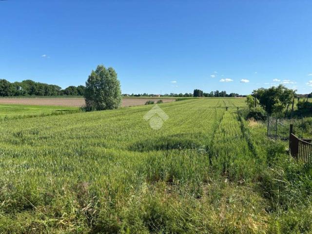 Terreno in vendita a Vescovana, Veneto