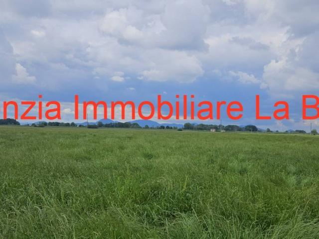 Terreno in vendita a Vescovana, Veneto