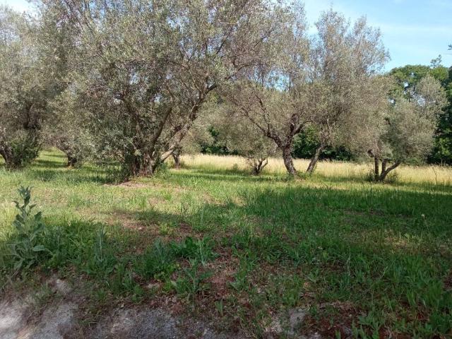 Terreno in vendita a Vetralla, Lazio