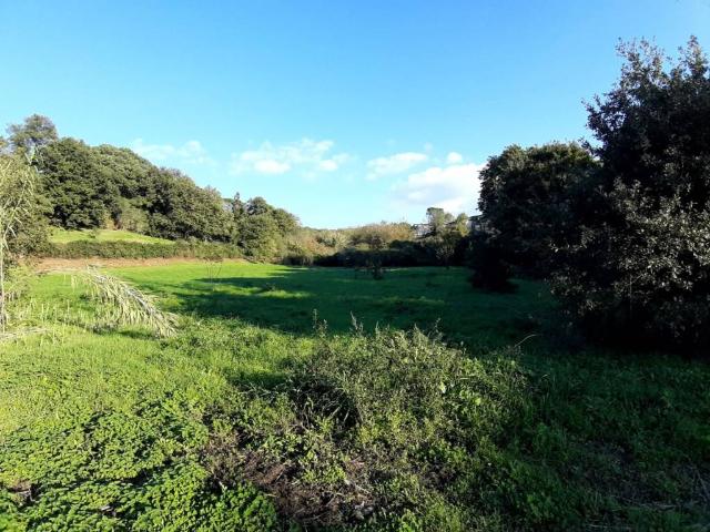 Terreno in vendita a La Botte, Vetralla