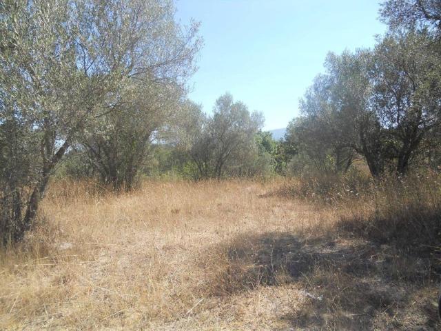 Terreno in vendita a Vetralla, Lazio