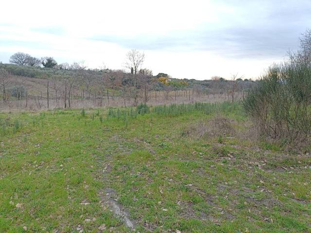 Terreno in vendita a Tre Croci, Vetralla