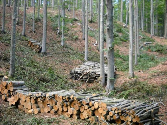 Terreno in vendita a Madonna del Ponte, Vetralla