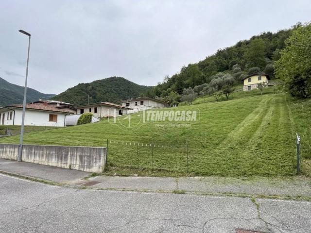 Terreno in vendita a Viadanica, Lombardia