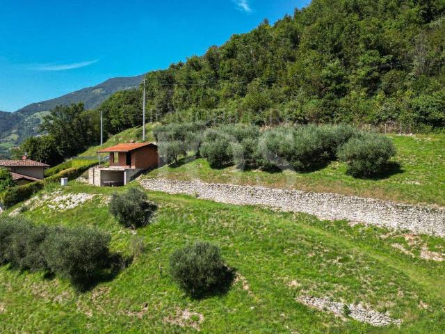 Terreno in vendita a Viadanica, Lombardia