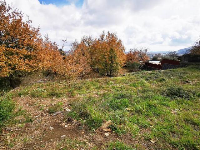 Terreno in vendita a Sambuco, Viagrande