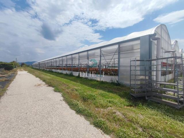 Terreno in vendita a Torre del Lago Puccini, Viareggio