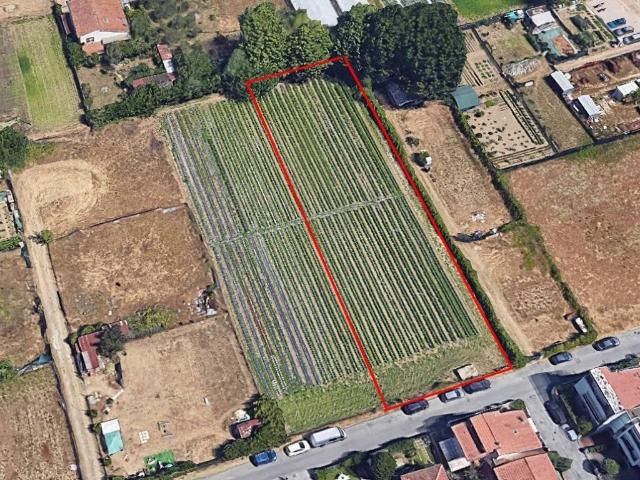 Terreno in vendita a Viareggio, Toscana