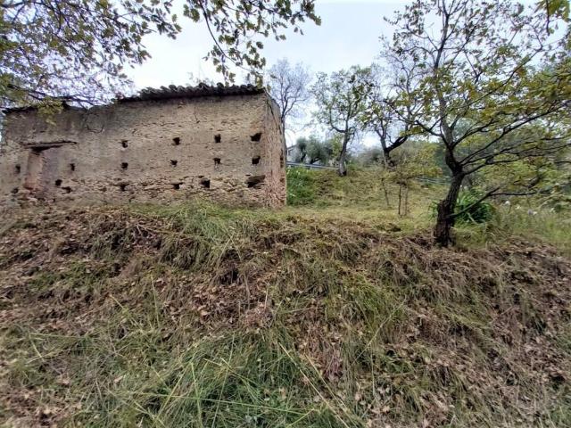 Terreno in vendita a Calabria, Vibo Valentia