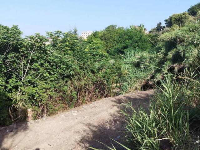 Terreno in vendita a Contrada Feudotto, Calabria