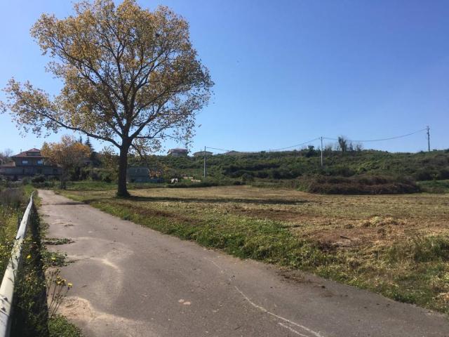 Terreno in vendita a Longobardi, Vibo Valentia