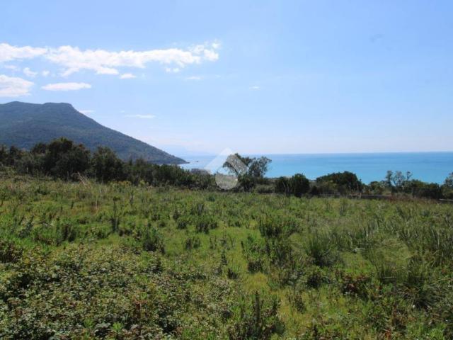 Terreno in vendita a Vibonati, Campania