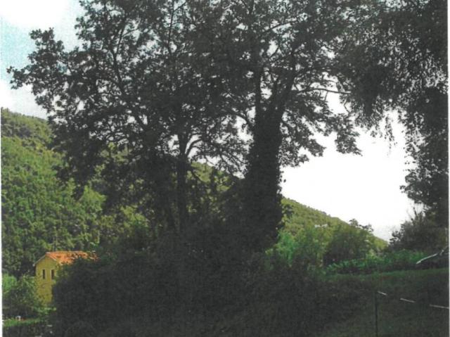 Terreno in vendita a Vicchio, Toscana