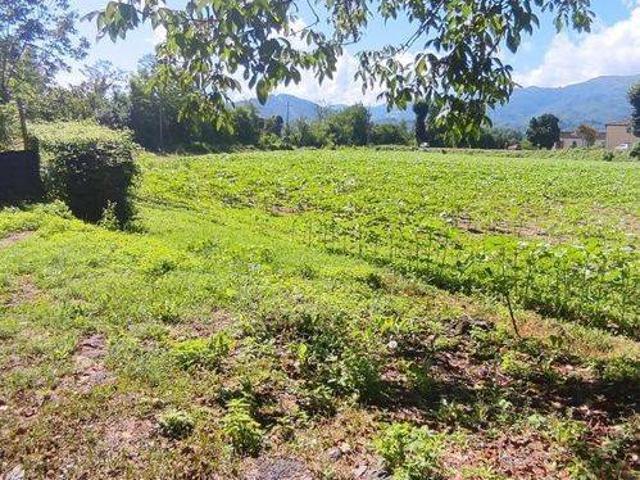 Terreno in vendita a Vicchio, Toscana