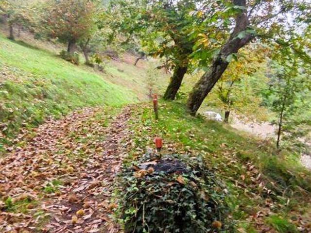 Terreno in vendita a Vicchio, Toscana