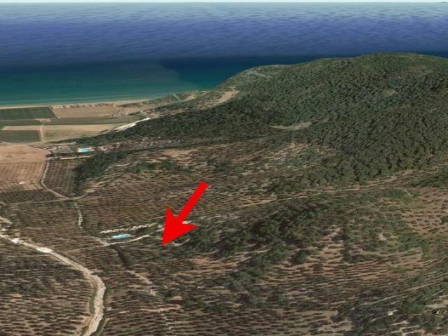 Terreno in vendita a Puglia, Foggia