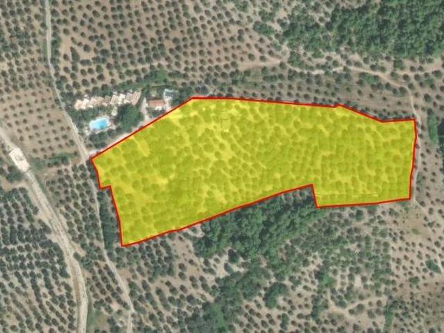 Terreno in vendita a Puglia, Foggia