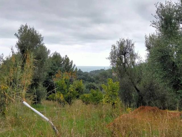 Terreno in vendita a Puglia, Foggia