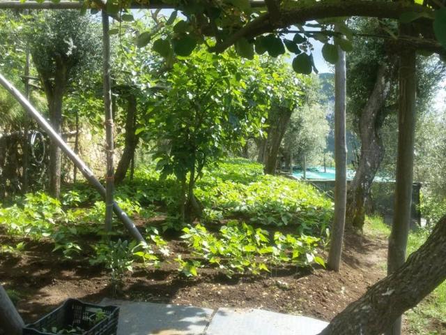 Terreno in vendita a Preazzano, Vico Equense