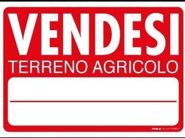 Terreno in vendita a San Giovanni alla Vena, San Giovannialla Vena