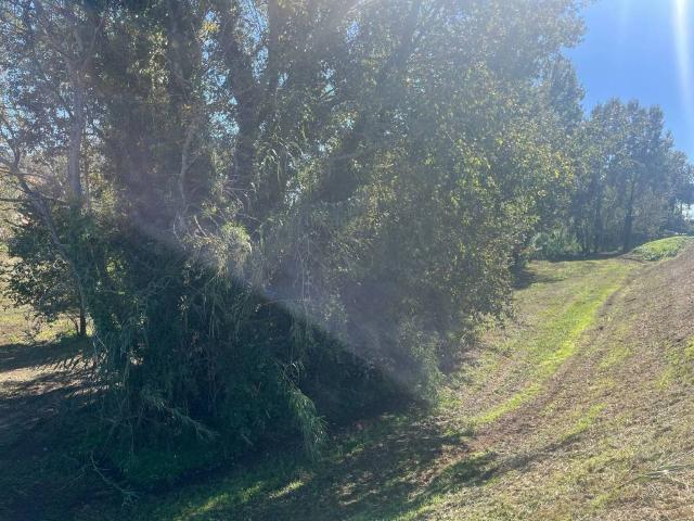 Terreno in vendita a San Giovanni alla Vena, San Giovannialla Vena