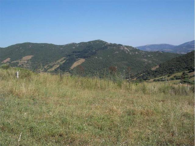 Terreno in vendita a Viddalba, Sardigna/Sardegna