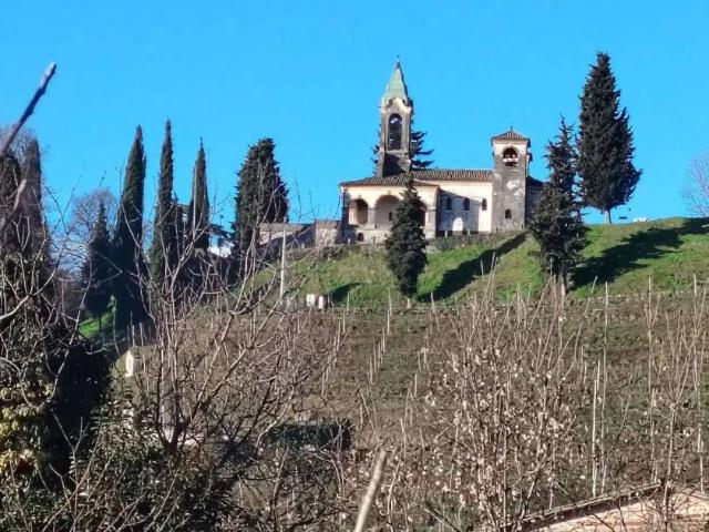 Terreno in vendita a Vidor, Veneto