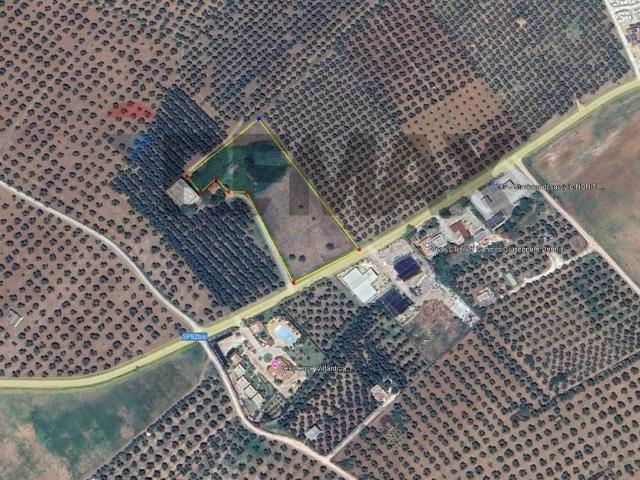 Terreno in vendita a Puglia, Foggia