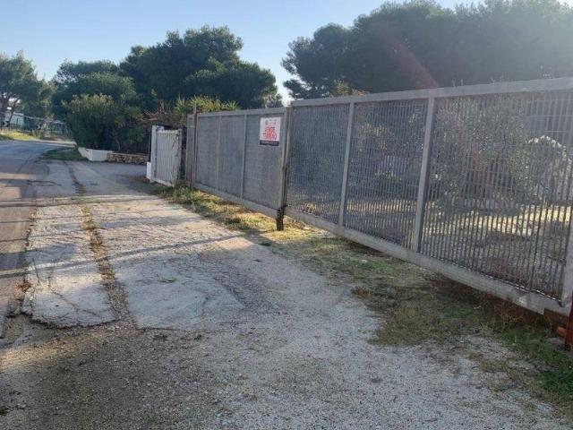 Terreno in vendita a Puglia, Foggia