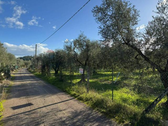 Terreno in vendita a Vieste, Foggia