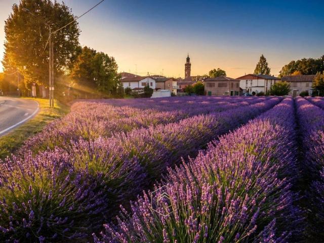 Terreno in vendita a Unione Alto Ferrarese, Vigarano Mainarda