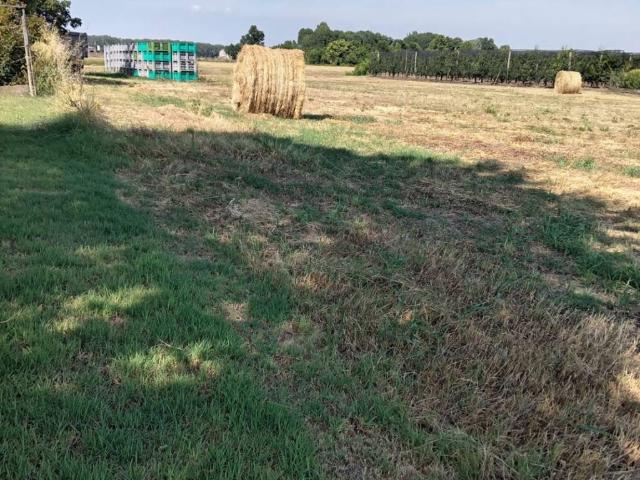 Terreno in vendita a Unione Alto Ferrarese, Vigarano Mainarda