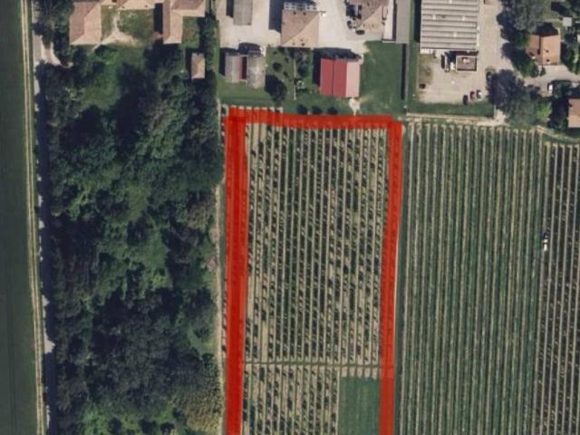 Terreno in vendita a Unione Alto Ferrarese, Vigarano Mainarda