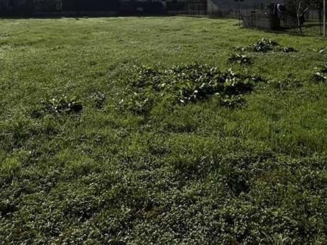 Terreno in vendita a Piccolini, Vigevano