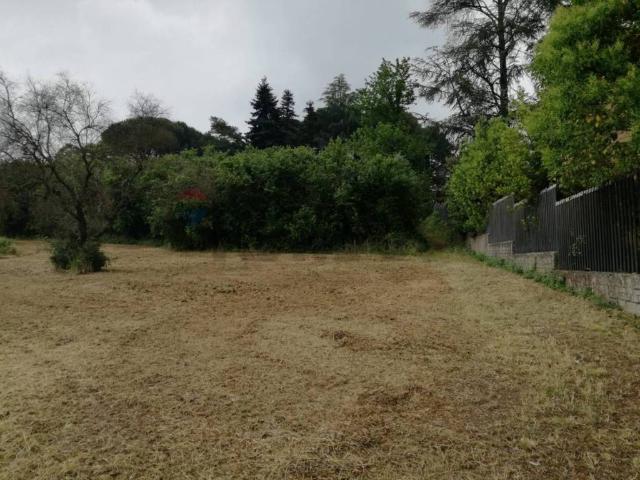 Terreno in vendita a Maregnano, Vignanello