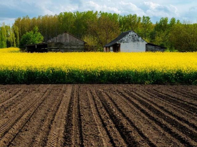 Terreno in vendita a Vignate, Lombardia
