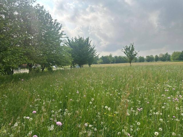 Terreno in vendita a Piemonte, Cuneo