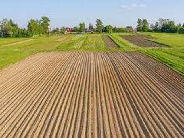 Terreno in vendita a Vigodarzere, Veneto