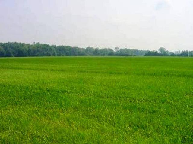 Terreno in vendita a Vigolzone, Reggio Emilia