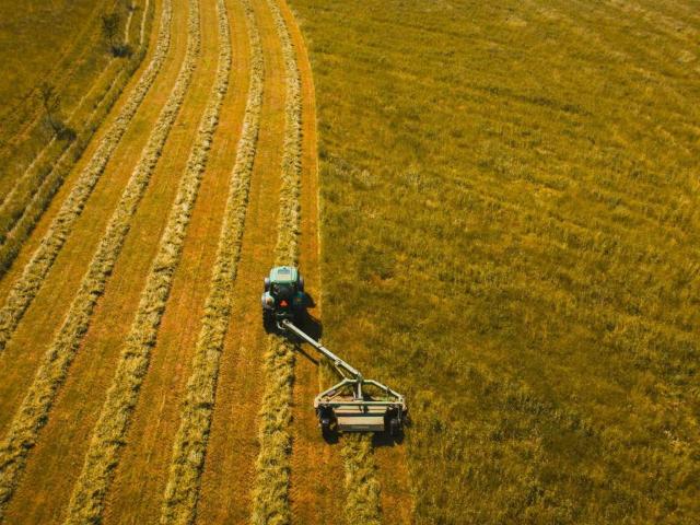 Terreno in vendita a Vigonza, Veneto