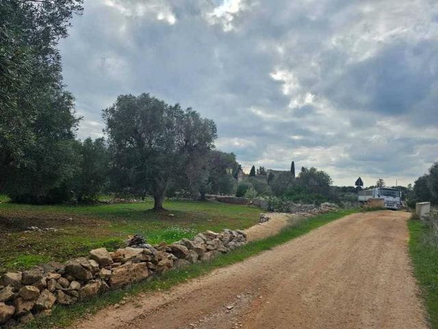 Terreno in vendita a Puglia, Brindisi