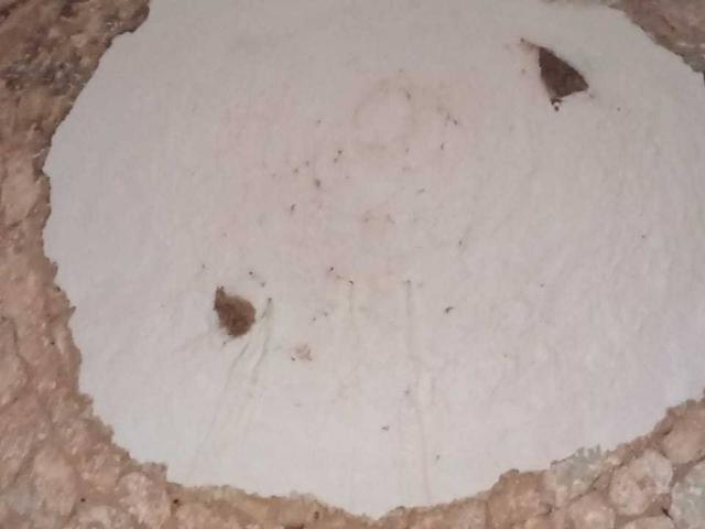 Terreno in vendita a Puglia, Brindisi