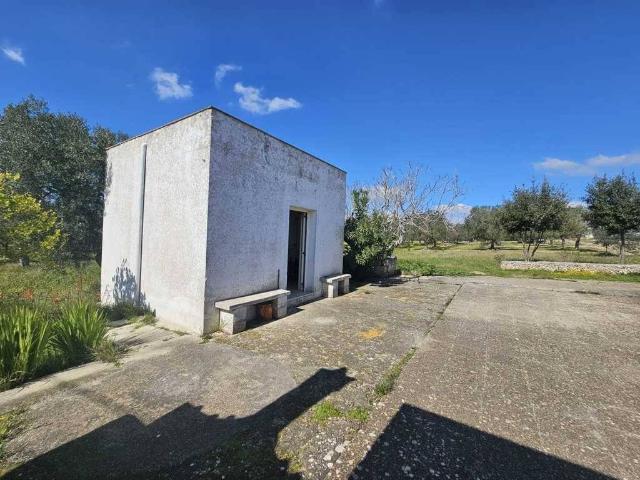 Terreno in vendita a Puglia, Brindisi