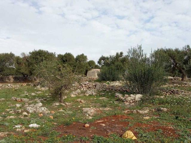 Terreno in vendita a Puglia, Brindisi