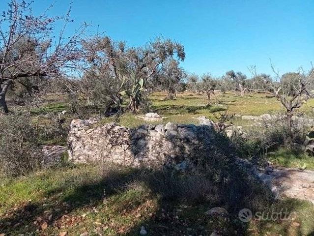 Terreno in vendita a Puglia, Brindisi