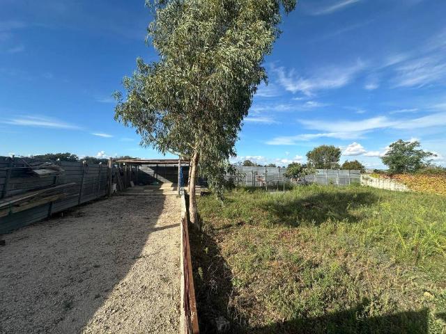 Terreno in vendita a Villa di Briano, Caserta
