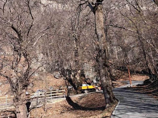 Terreno in vendita a Ponteggia, Villa di Chiavenna