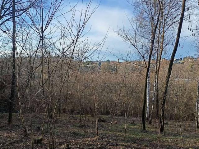 Terreno in vendita a Villa Guardia, Lombardia